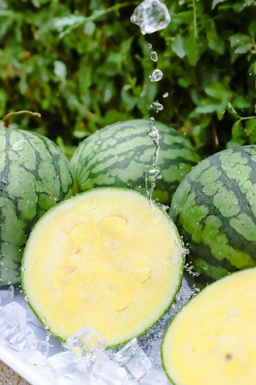 黑瓜吃料正能量官网最新,解锁健康生活新篇章