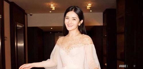 今日吃瓜冠军明星,今日吃瓜冠军明星盘点