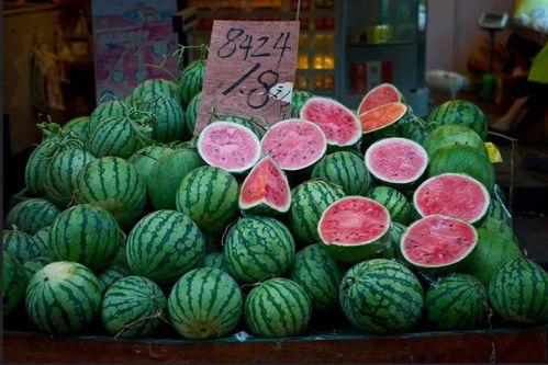 今日吃瓜历史记录,回顾历史，品味人间百态