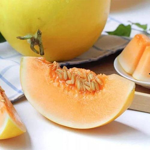 黑蜜瓜8岁女孩可以吃吗,营养与安全指南