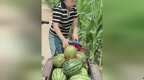 今日宜吃瓜大结局,揭秘真相，尘埃落定