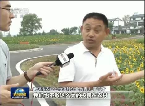 成都今日吃瓜新闻联播,聚焦城市热点事件与街头趣闻