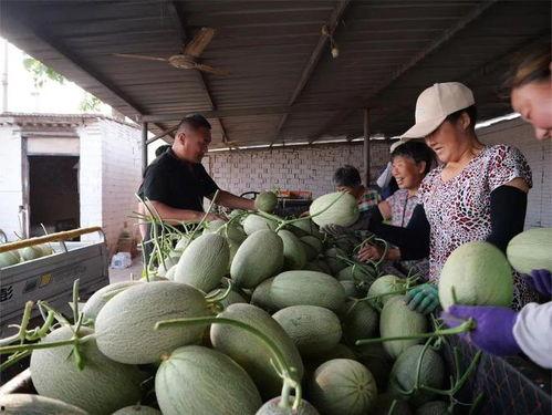 今日吃瓜去哪看