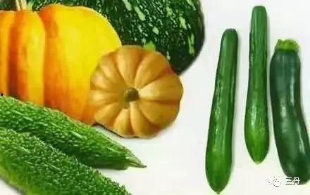 今日吃瓜去哪看