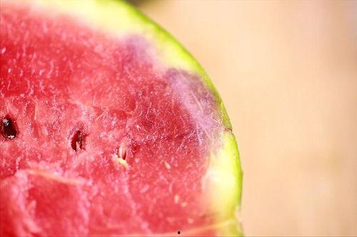 今日吃瓜去哪看