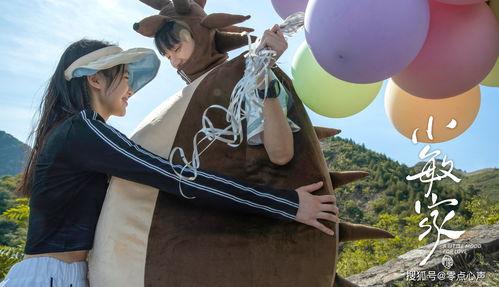 幸遇向今日头瓜,一场意外的收获之旅