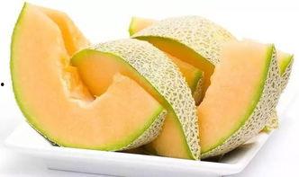 鼎信哈密瓜今日行情,品质瓜果价格走俏，市场供需两旺”