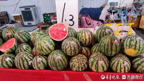 今日小瓜价位行情,今日价格走势解析”