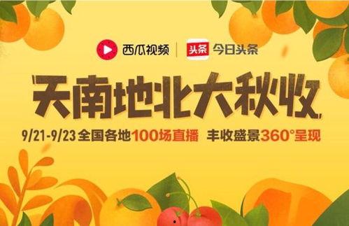 今日头条超市买瓜,买瓜也能享受新鲜体验