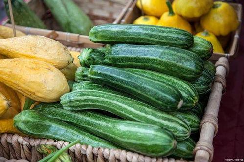 寿光吊瓜菜价今日菜价多少,价格波动解析”