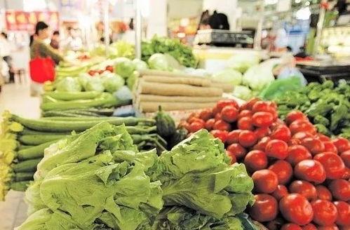 寿光吊瓜菜价今日菜价多少,价格波动解析”