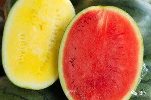 吃黑瓤的瓜,口感与营养的双重享受