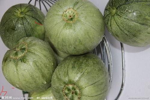 今日楞瓜价格,楞瓜价格波动解析