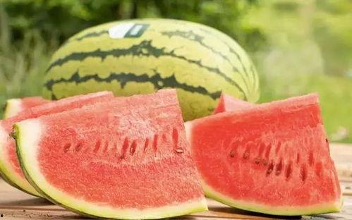 经典的瓜多少钱今日行情,今日瓜价一览