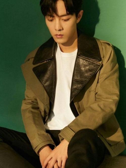 肖战吃黑瓜是什么,真相与争议的交织