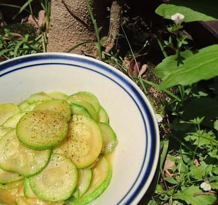 今日银川蔬瓜价,今日价格一览”
