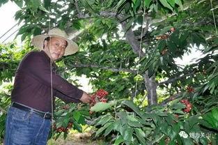 今日阎良关山瓜价格