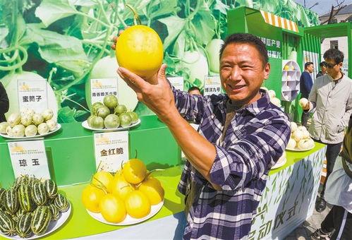 今日阎良关山瓜价格