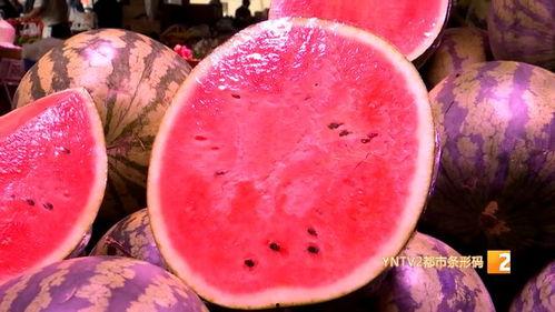 今日麒麟瓜价格