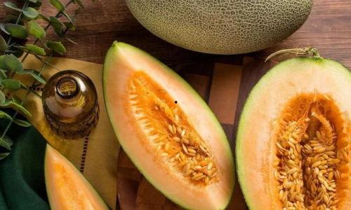 深圳哈密瓜今日价,深圳今日哈密瓜价格行情一览