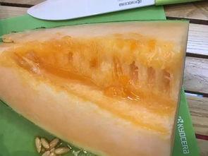 今日柳州市哈密瓜价格,今日行情一览