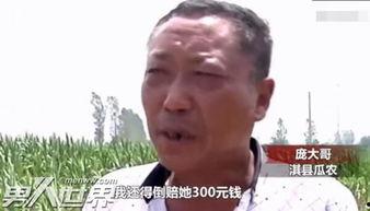 今日热点偷瓜,一场关于乡野趣事的全民热议