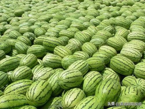 17今日吃瓜热门大瓜必看,热门大瓜盘点，必看精彩瞬间