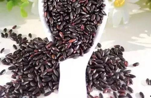 黑籽瓜的肉怎么吃,黑籽瓜肉的多彩食法探索