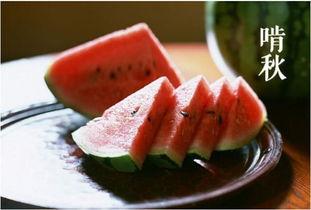 五黑风吹饼吃瓜直播,吃瓜群众共享吹饼美食狂欢