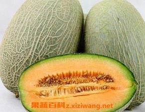 瓜州2023蜜瓜今日价格行情,甜蜜价格大盘点