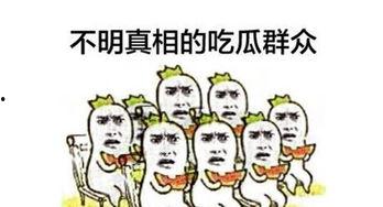 老黑吃瓜群众,揭秘网络舆论场的众生相
