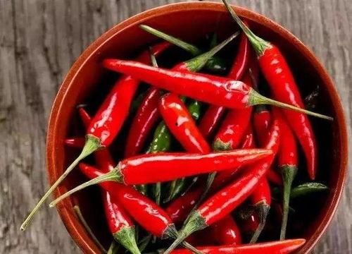 今日立夏吃瓜,瓜果飘香，品味夏日清凉