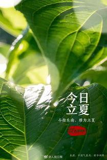 今日立夏吃瓜,瓜果飘香，品味夏日清凉