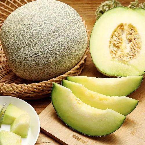 三高人可以吃黑蜜瓜吗,三高人群适宜食用黑蜜瓜的饮食建议